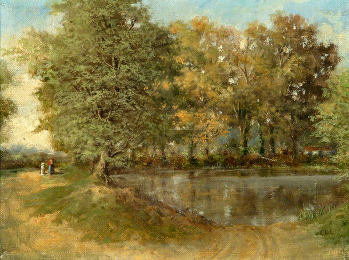 Hamsey Green Pond