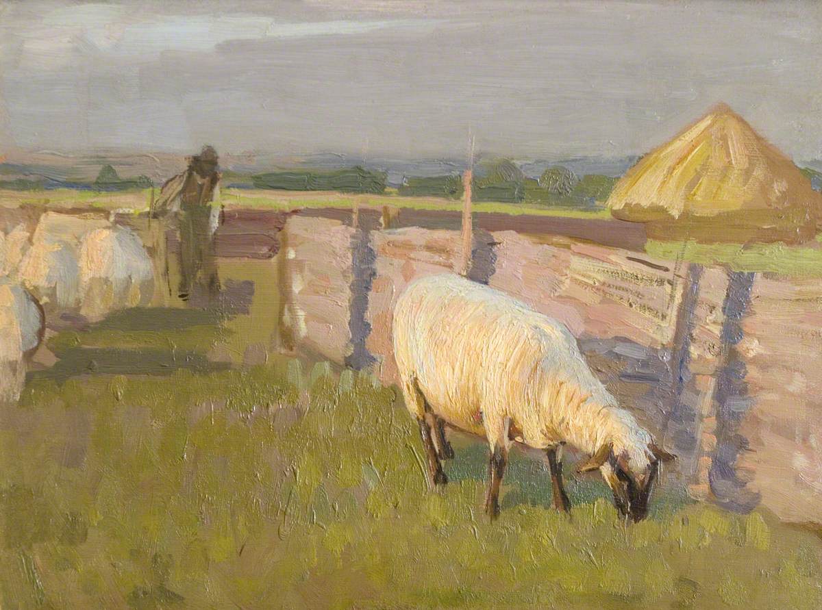 Sheep at the Foot of the Sindlin Hills