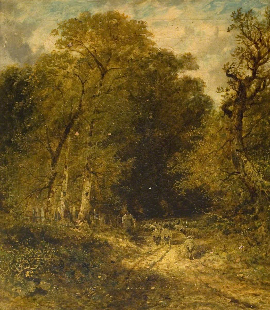 Sheep on a Woodland Path
