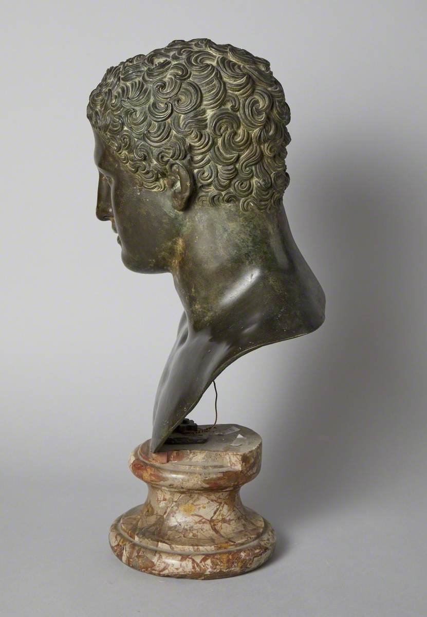 Bust of a Youth