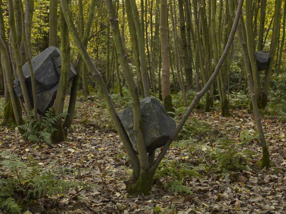 Stone Coppice