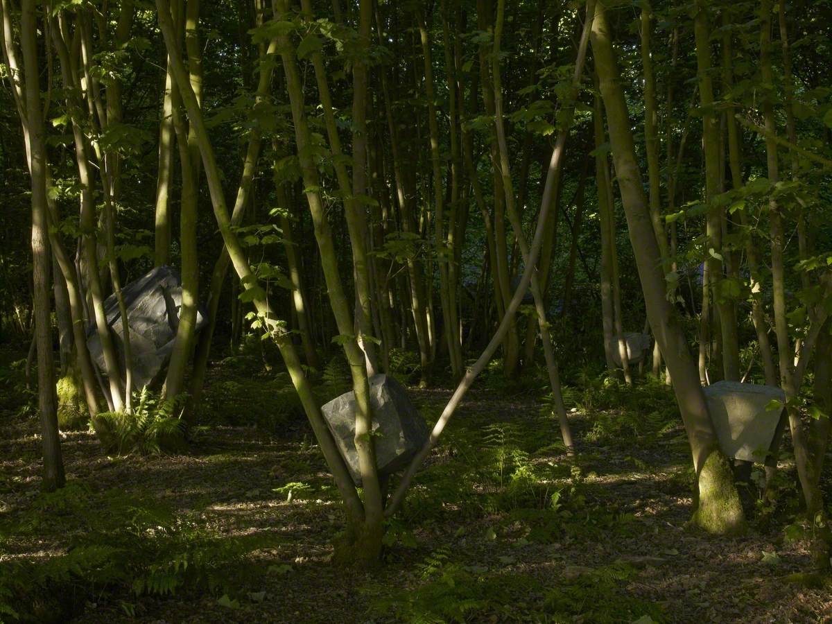 Stone Coppice