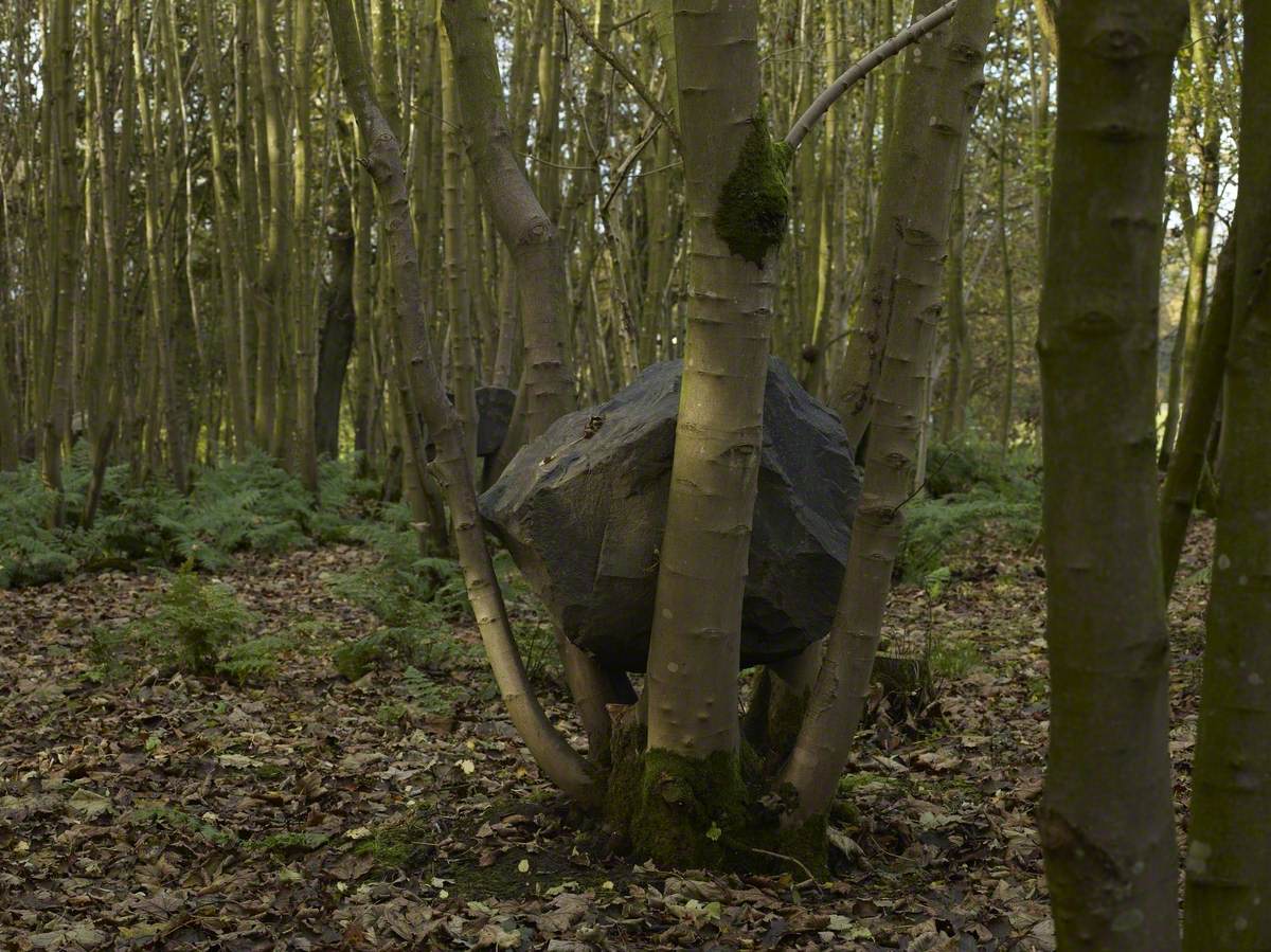 Stone Coppice