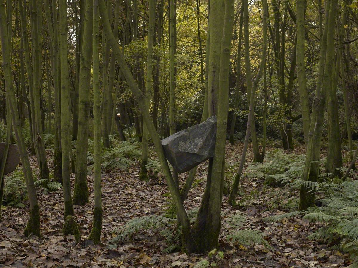 Stone Coppice