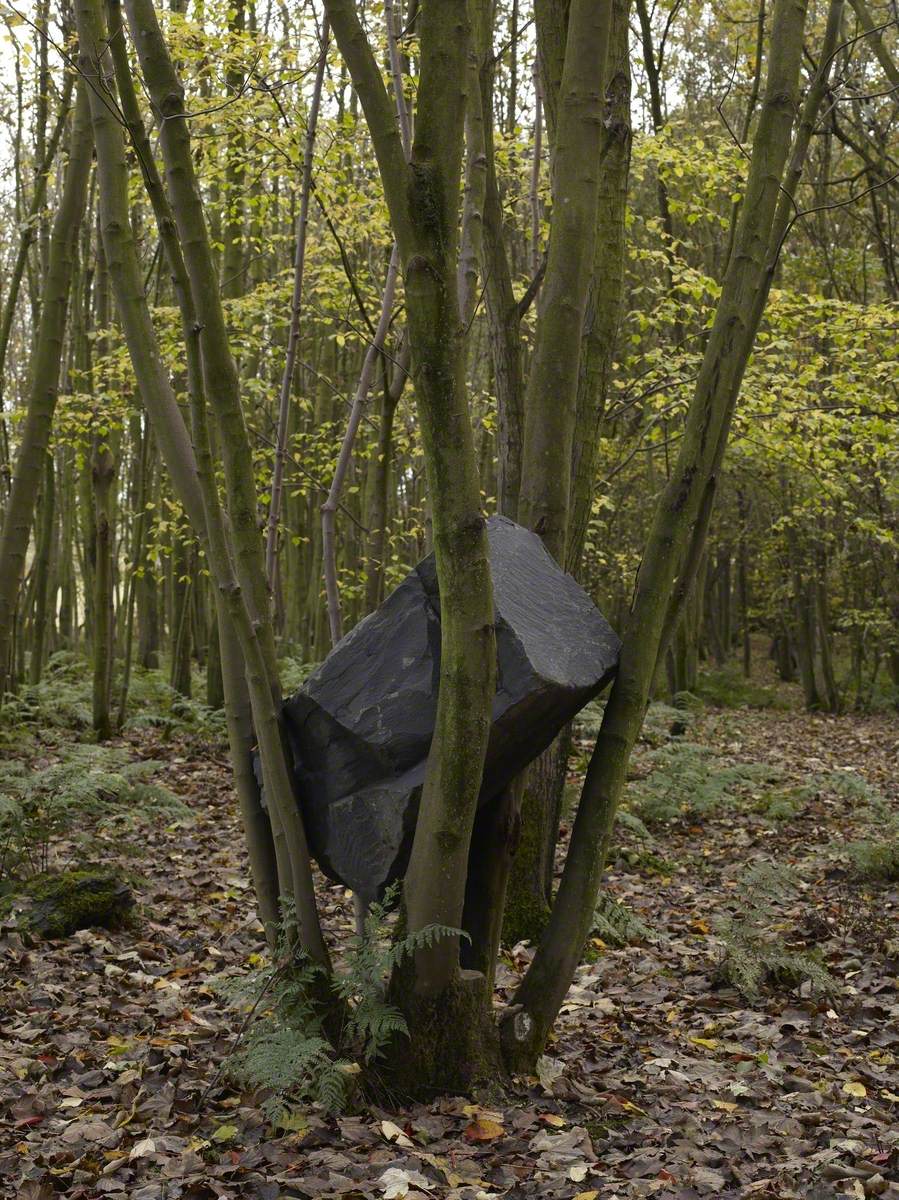 Stone Coppice