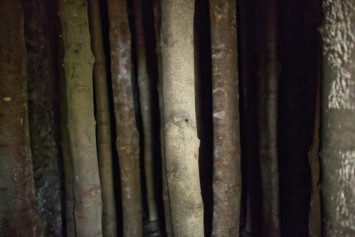 Coppice Room