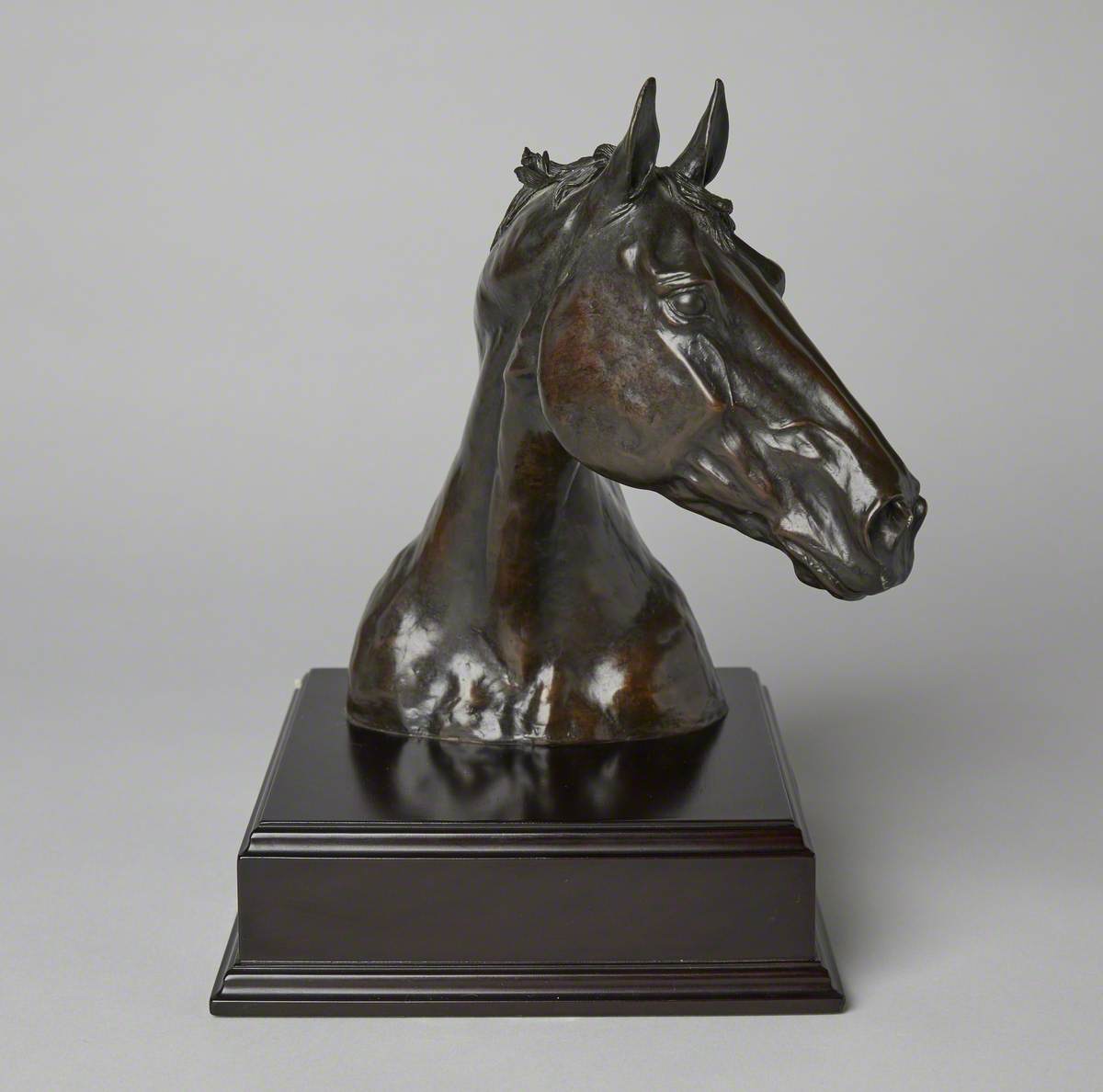 Bust of Sir Wattie, the Scott Family Racehorse