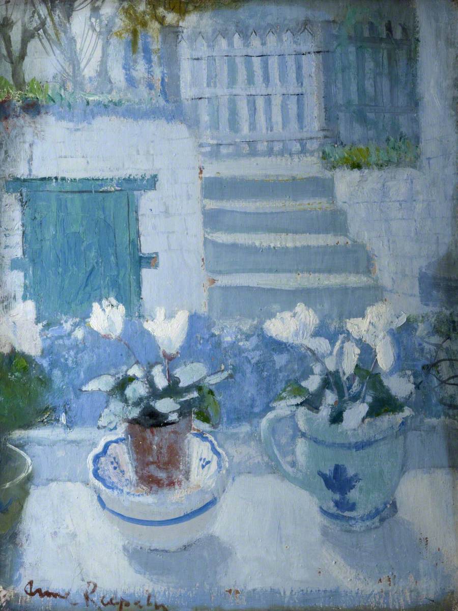 White Cyclamen