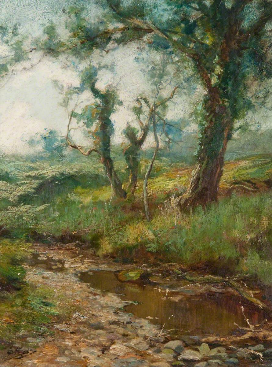 A Woodland Burn
