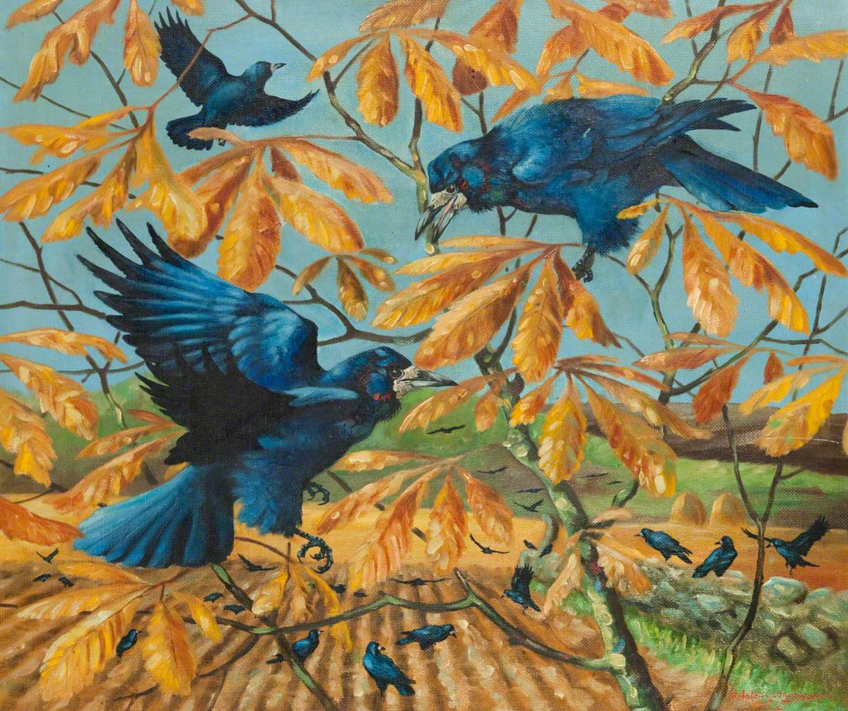 Rooks amongst Branches