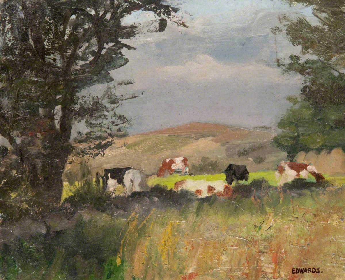 Cows Grazing