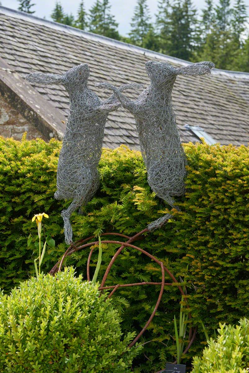 Boxing Hares