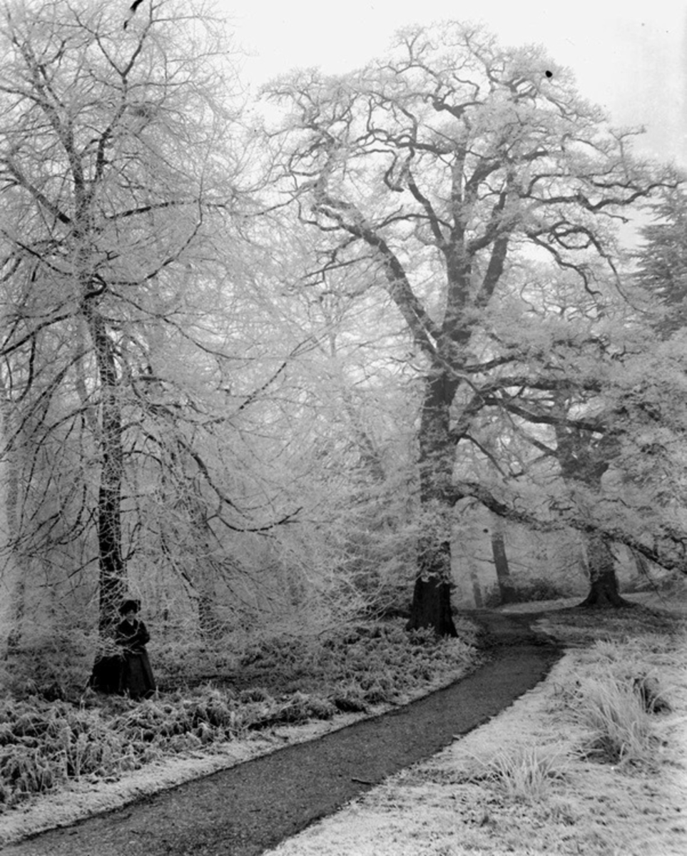 21 Trentham (Frost Scene)