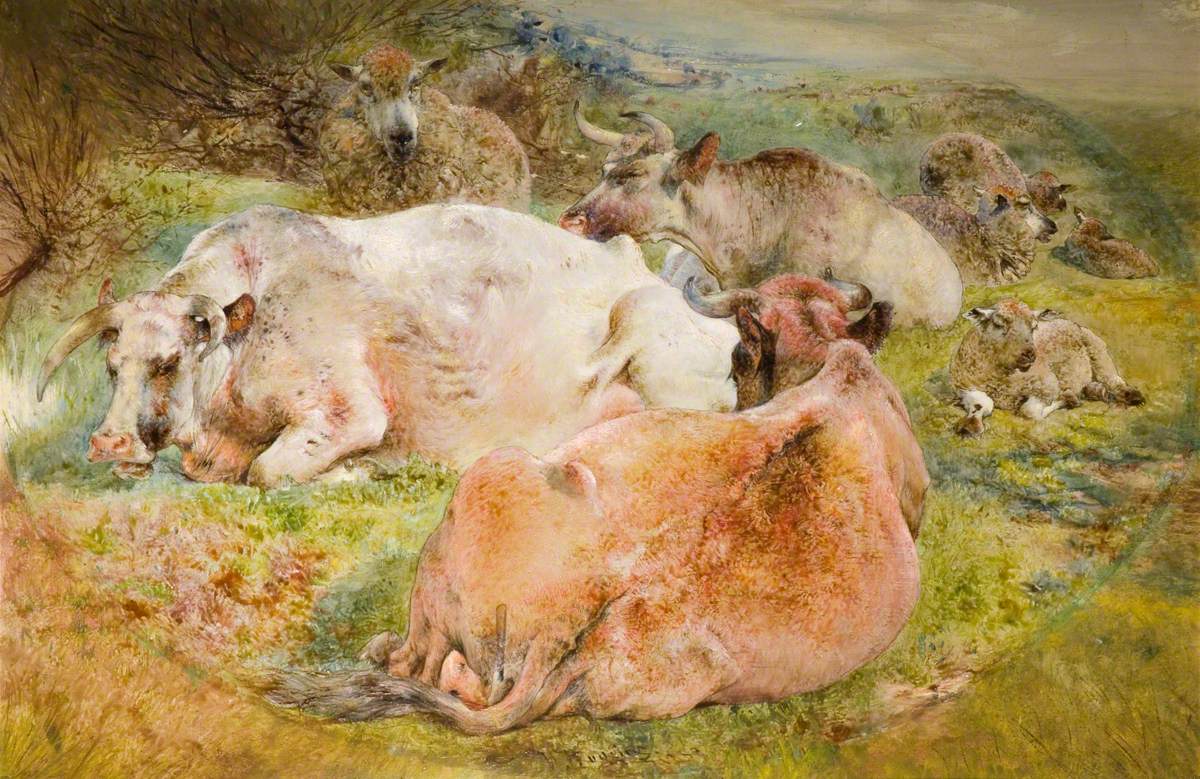 Cattle and Sheep