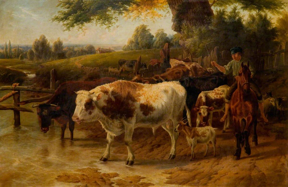Cattle at a Stream
