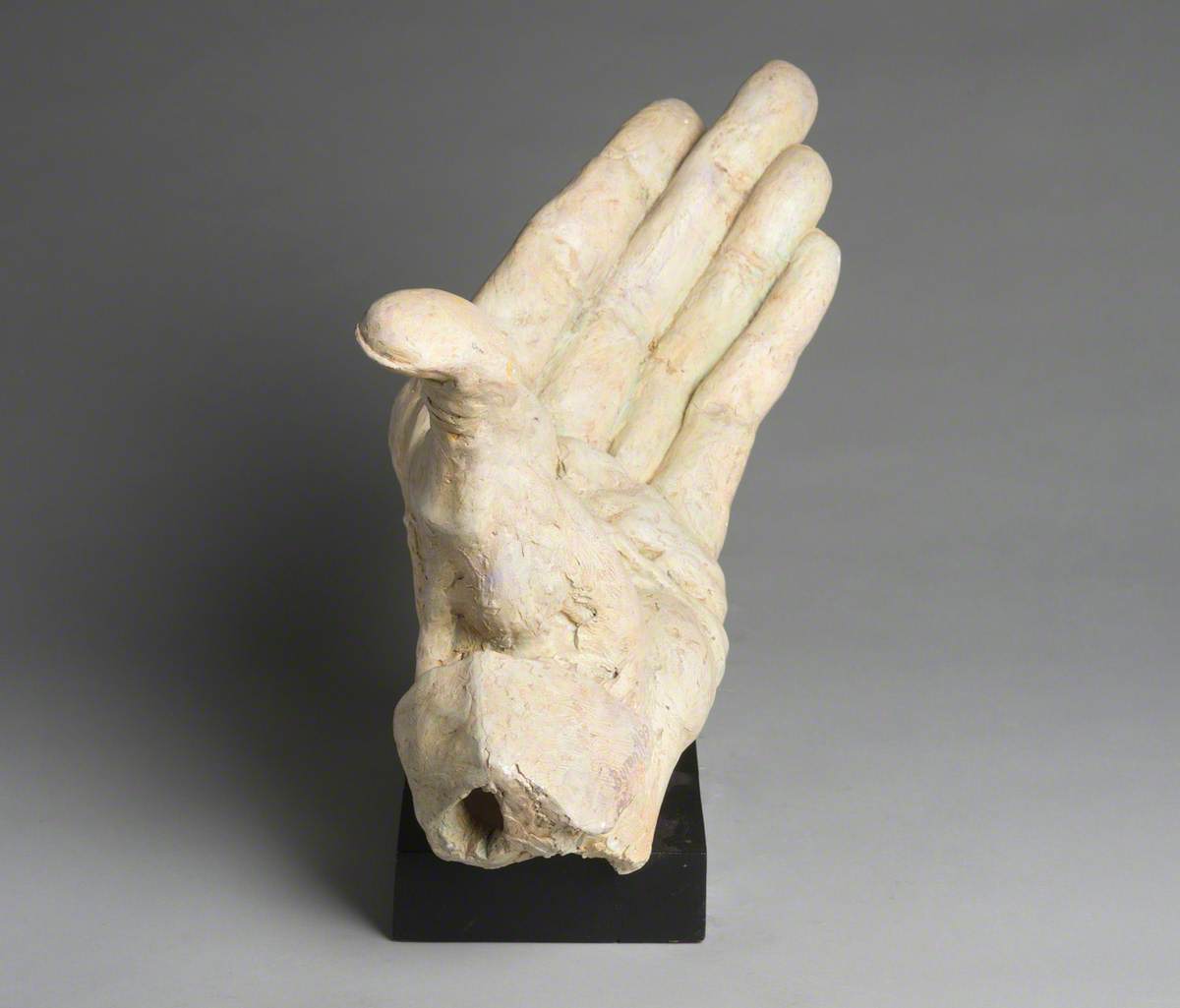 Hand of Sir John Barbirolli