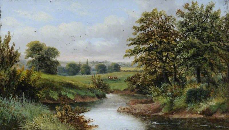 Canon Hall Park River Landscape, South Yorkshire