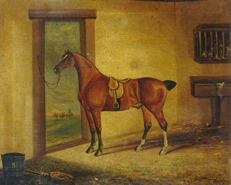 Horse in a Stable