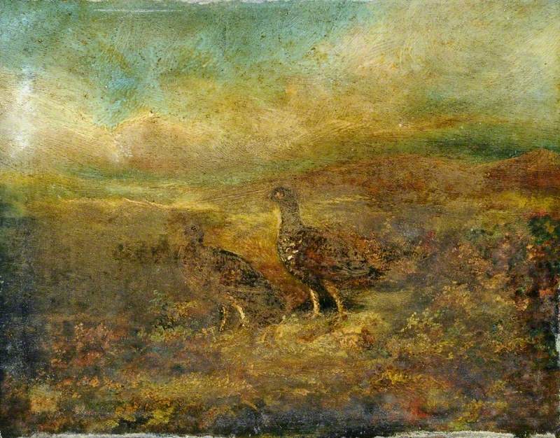 Moorland Scene