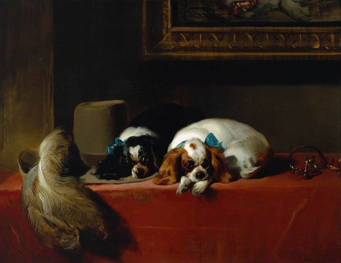 King charles store and his dogs
