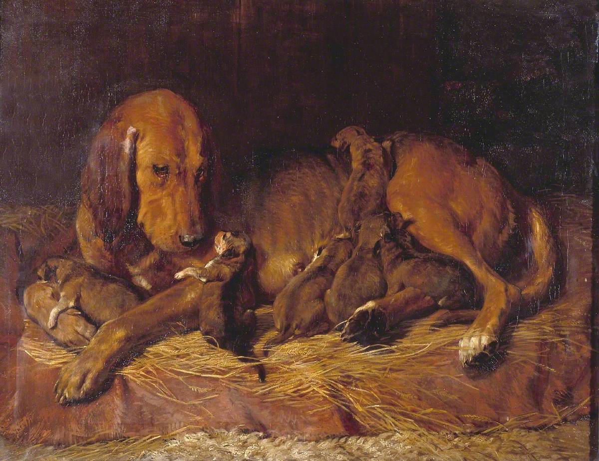 Bloodhound and Pups