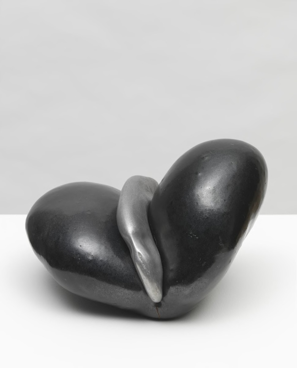 Folded Seed with Clip