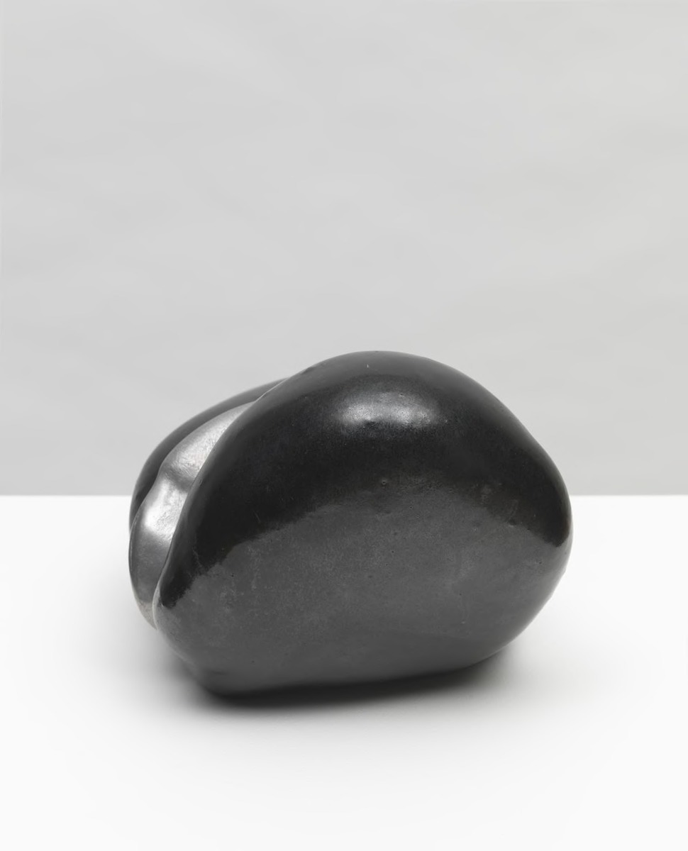 Folded Seed with Clip