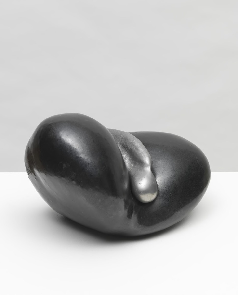 Folded Seed with Clip