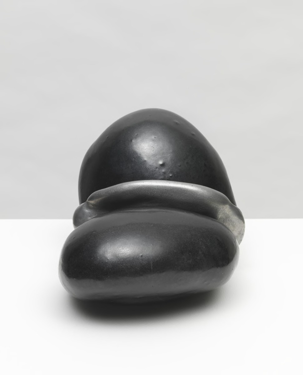 Folded Seed with Clip