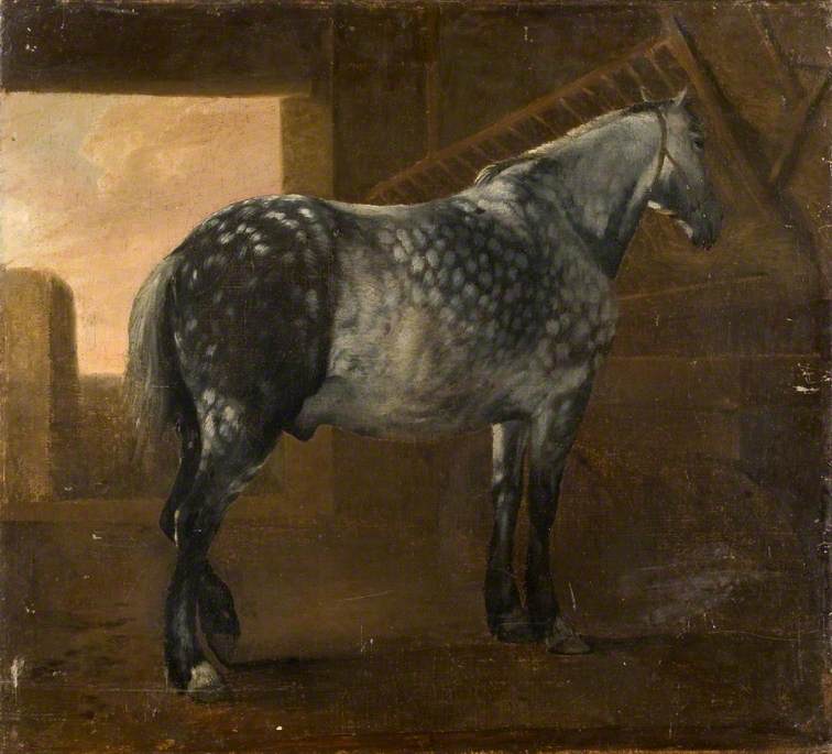 A Dapple Grey Horse