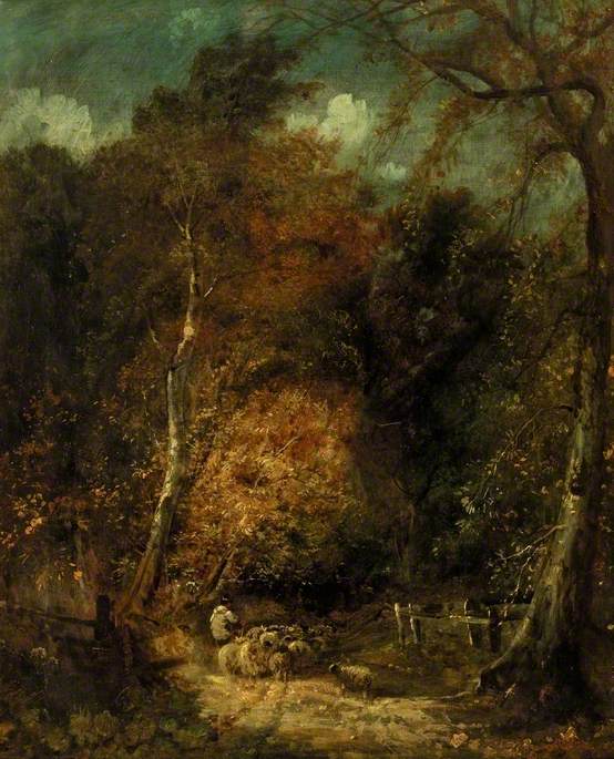 Wooded Landscape