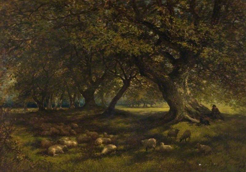 A Sylvan Scene