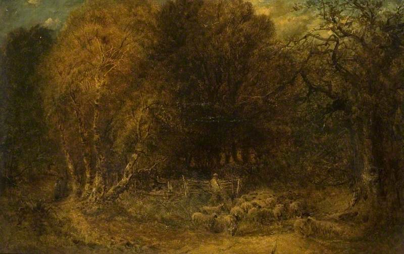 A Sylvan Scene