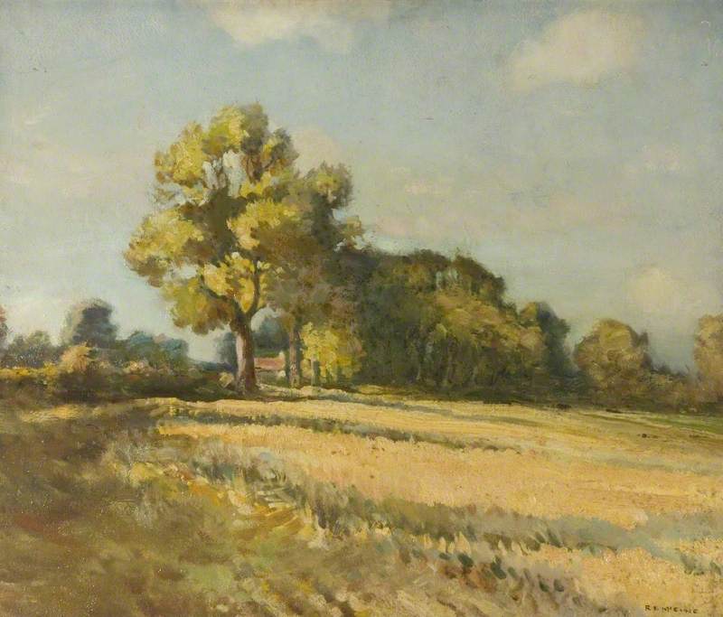 Cornfield With Woods