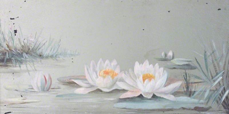 Water Lilies