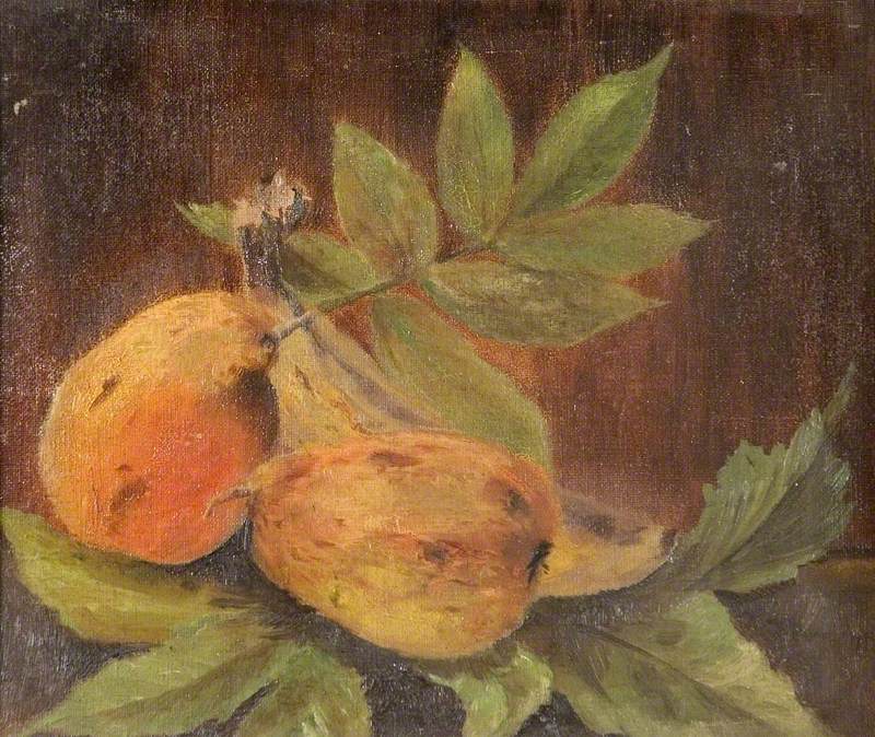 Pears and Leaves