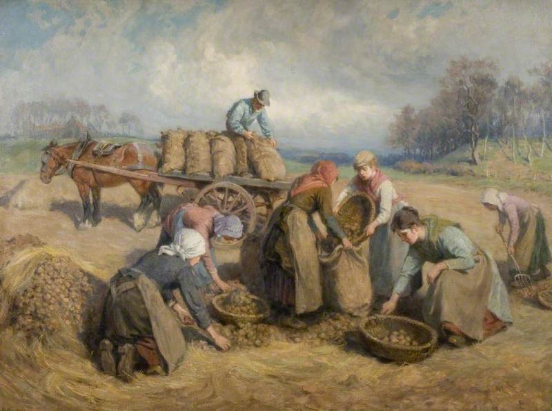Potato Gatherers, Northumberland