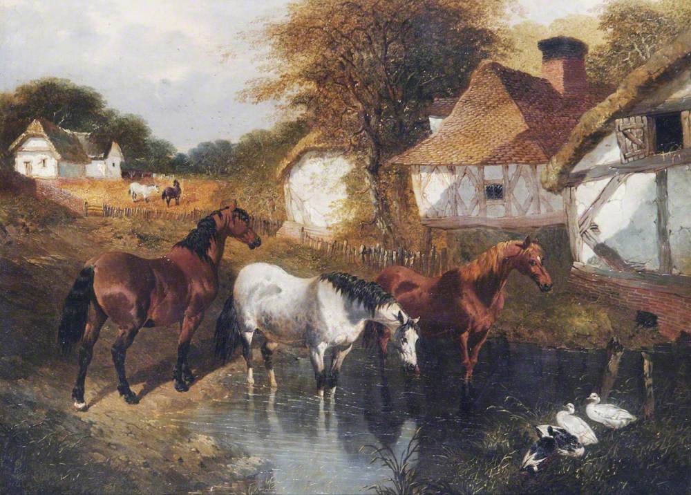 Horses in a Corner of a Farm