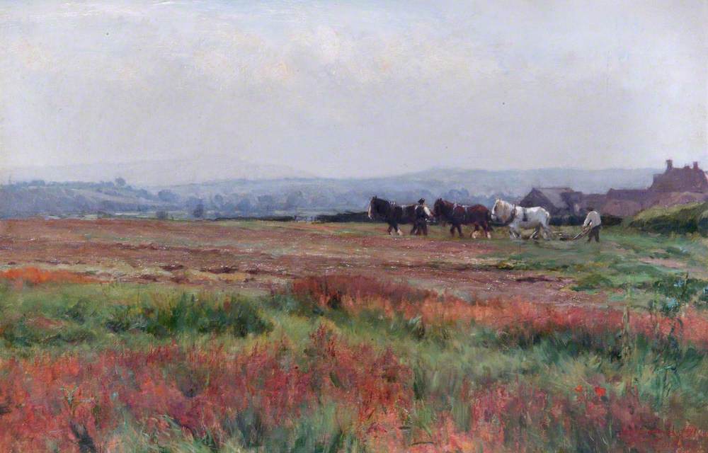 Summer Ploughing
