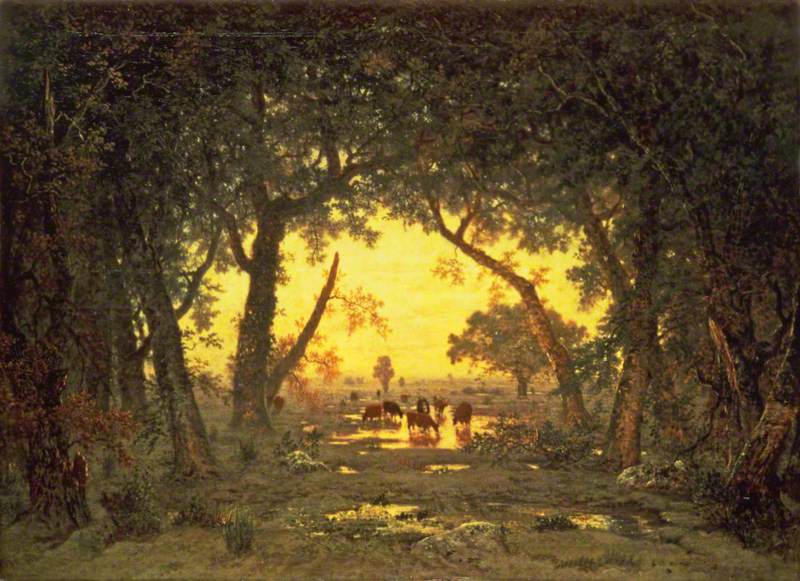 The Forest of Fontainebleau: Morning
