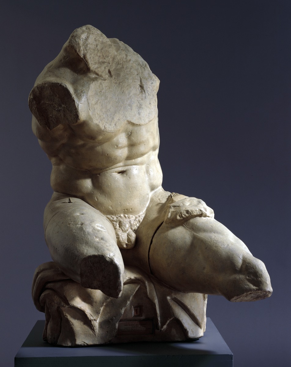 Belvedere Torso
