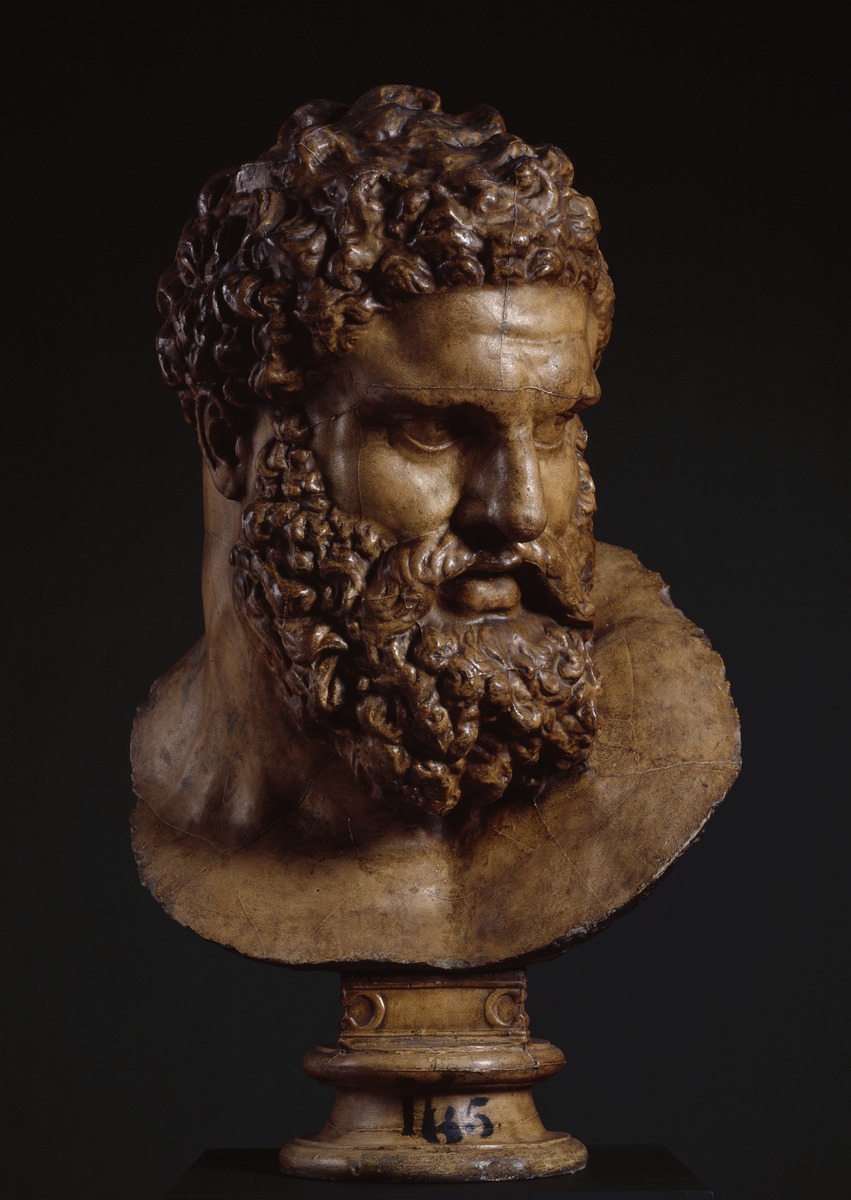 Head of the Farnese Hercules