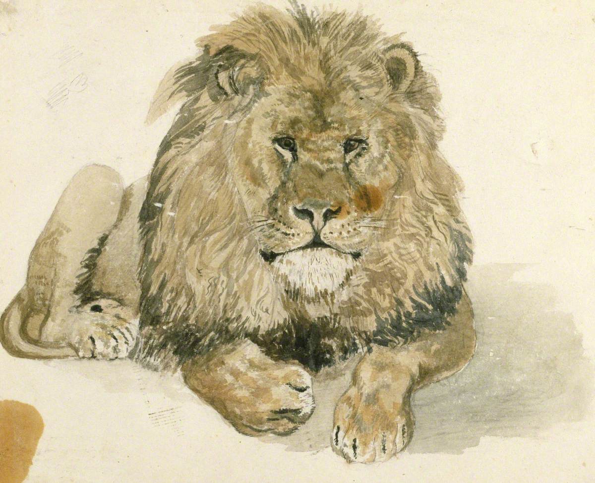 A Lion at the Exeter 'Change