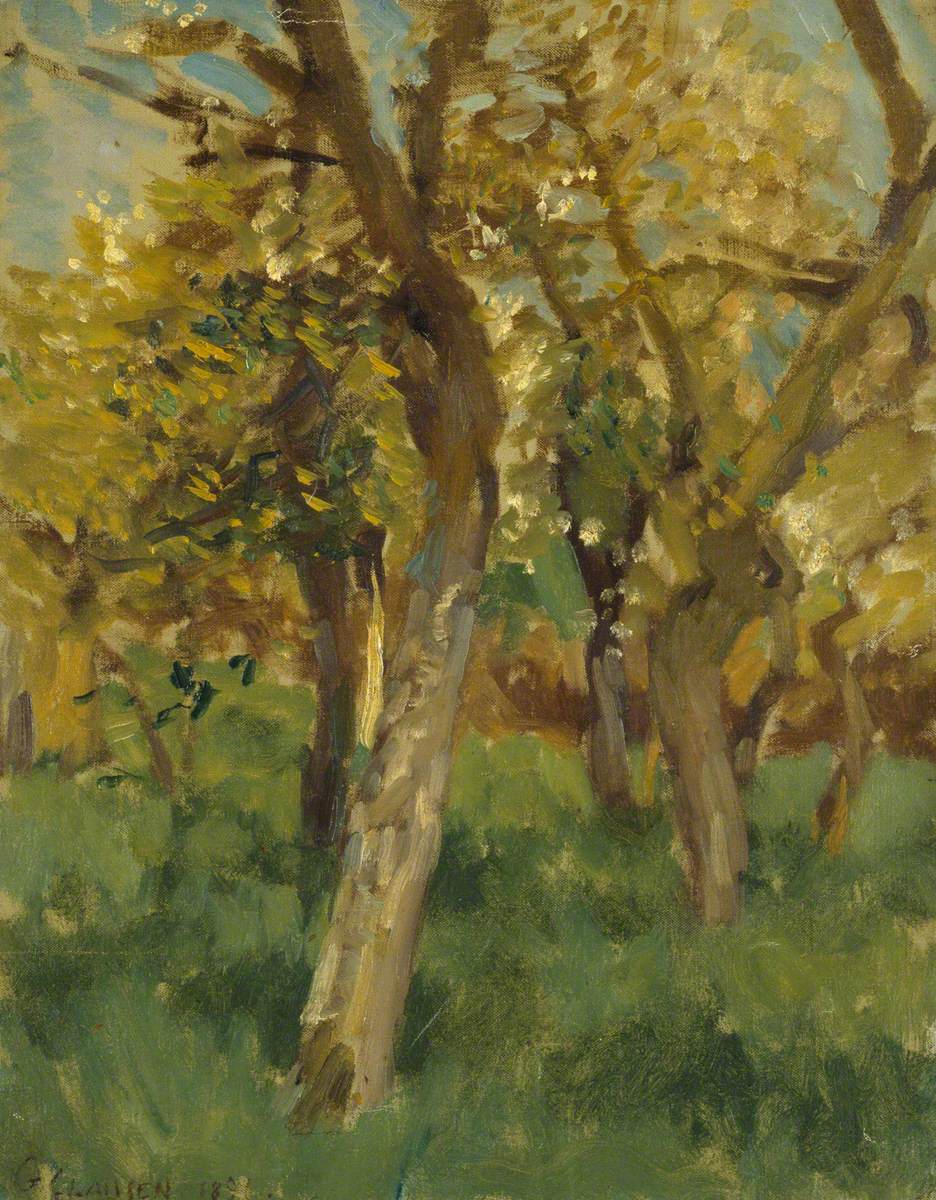 Study of Blossoming Trees in an Orchard