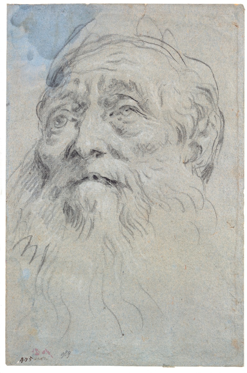 Study of the Head of an Old Man