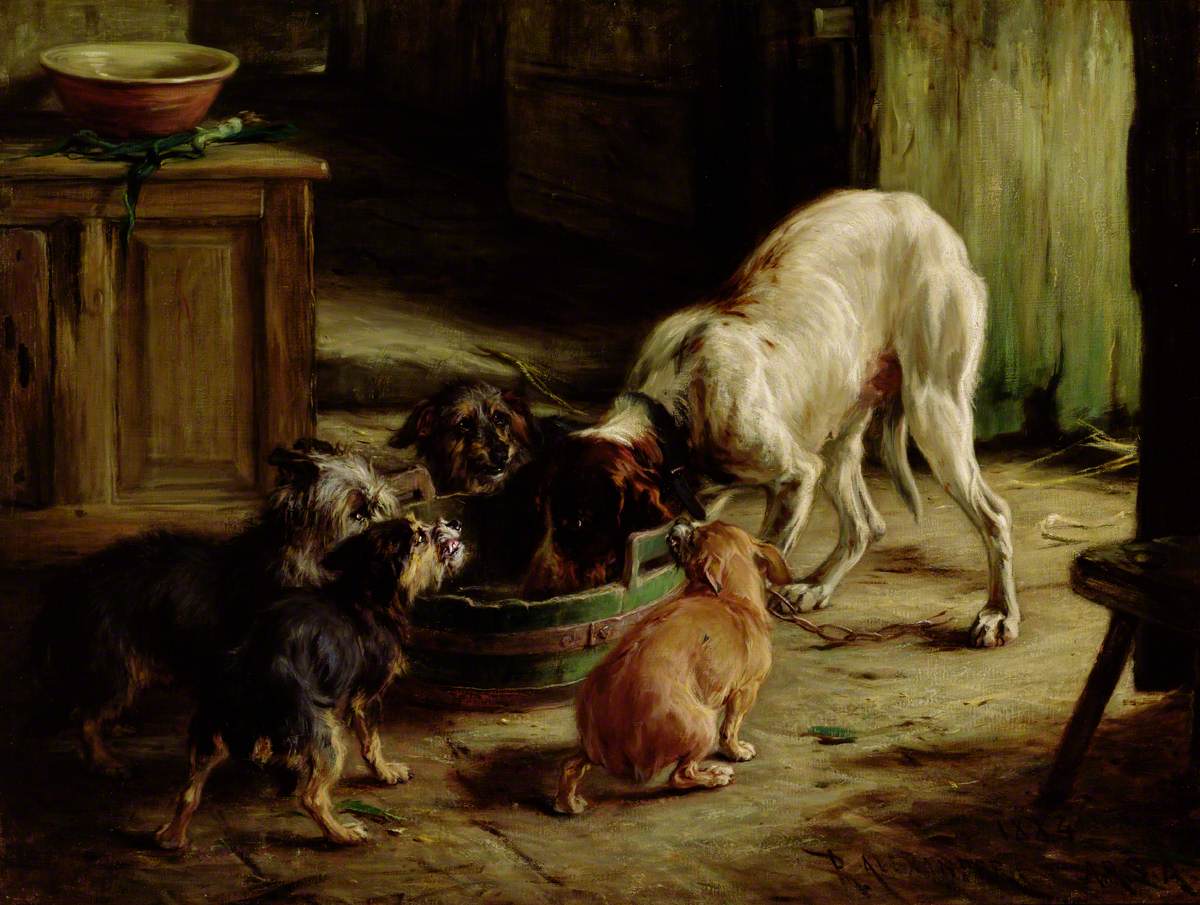 The Dogs' Dinner