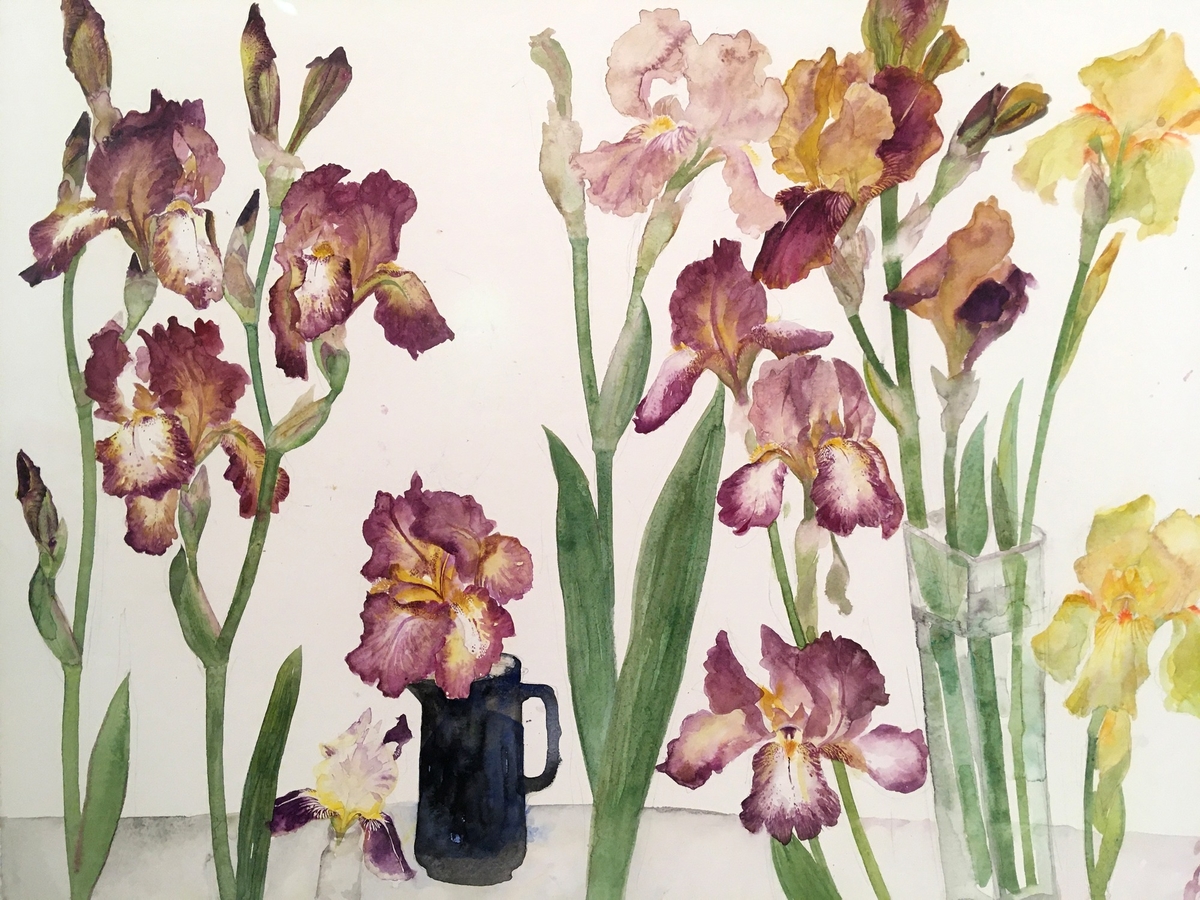 Irises, Brown and Yellow