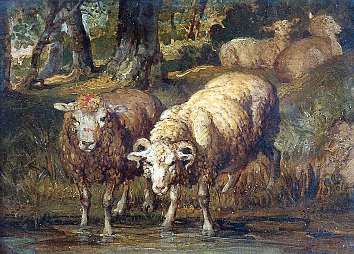 Sheep by a Stream