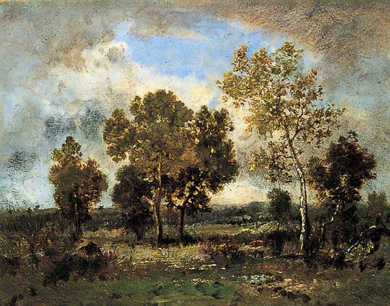 A Clearing, Fontainebleau, France