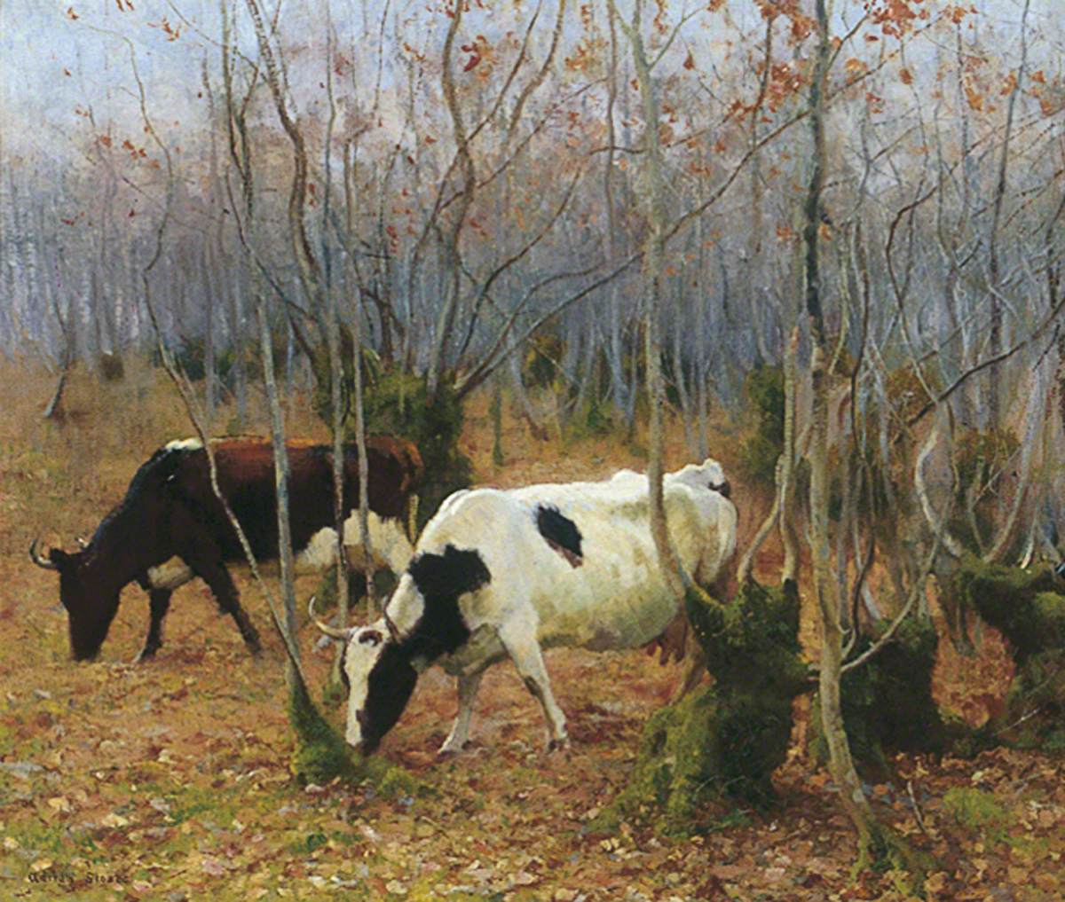 Cows in a Copse